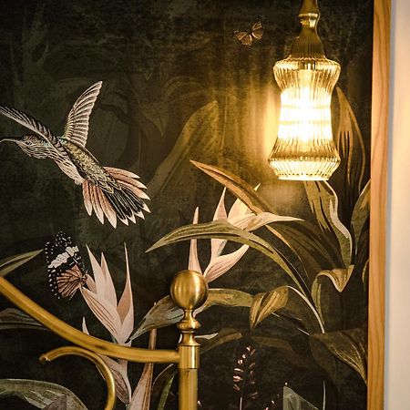 Novi'S Luxury Apartment 2 Gjirokastër المظهر الخارجي الصورة